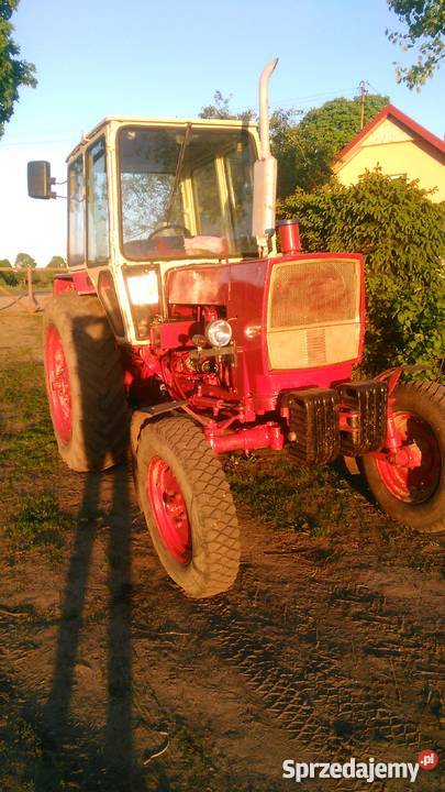 Sprzedam belarus jumz 6m w duzej kabinie nie mtz Darnowo