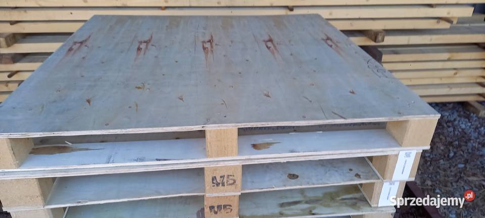 palety różne wymiary 100x70 Błotnica Strzelecka