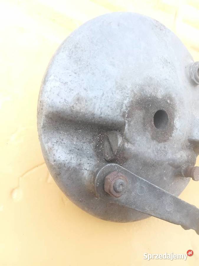 Szczekotrzymacz SHL warmińsko-mazurskie Milejewo sprzedam