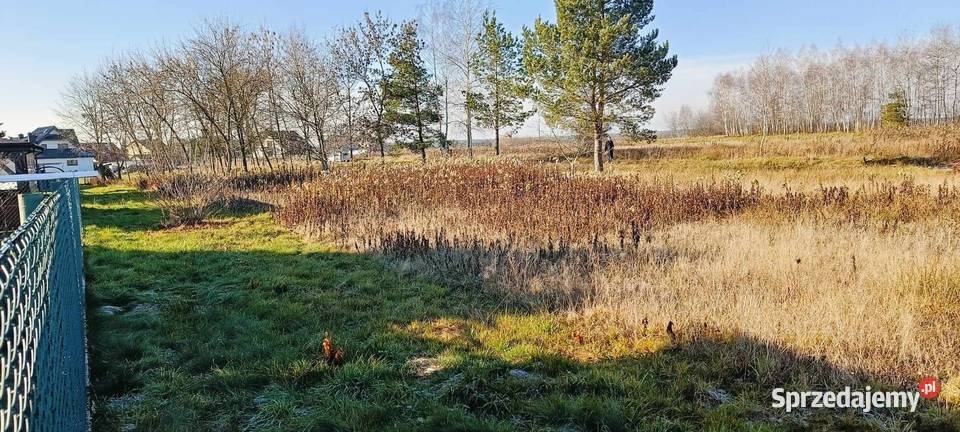 Działka Budowlana w Pogórskiej Woli 10 ar utwardzona Sprzedaż Tarnów