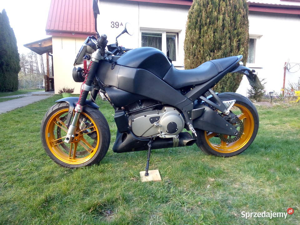 Buell xb12s lightning harley davidson sportster