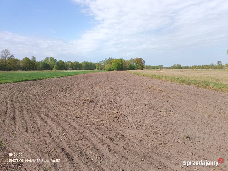 Sprzedaż działki Olesno