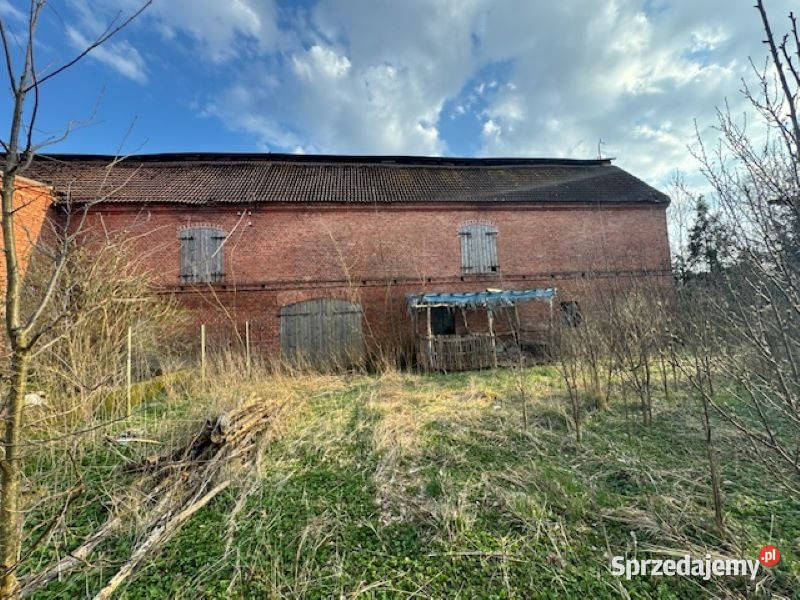 Syndyk sprzeda udział w nieruchomości w Machowino