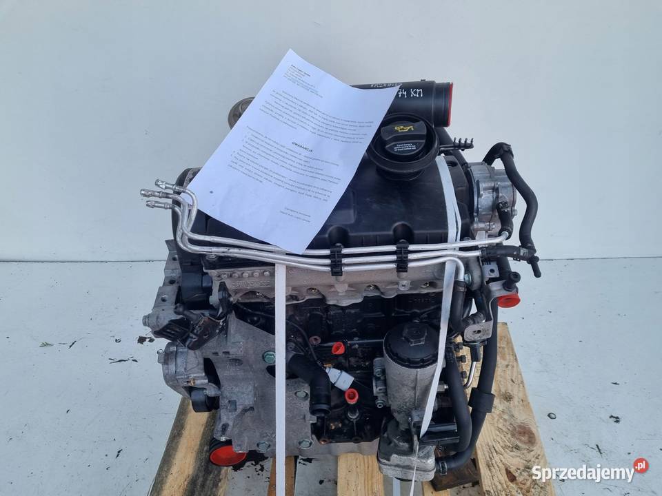 SILNIK KOMPLET VW Golf V 19 TDI 90 Rudka