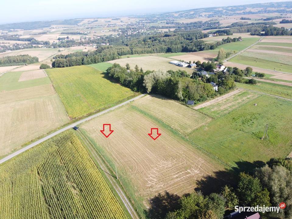 Działki budowlane Wiśniowa sprzedam