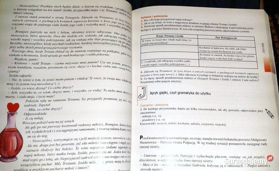 Czas na polski Podręcznik gimnazjalistów kl 1 miękka
