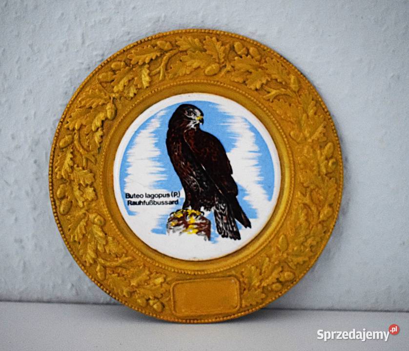 Myszołów Włochaty talerzyk cynowy z porcelanową Pozostałe Antyki, Sztuka, Kolekcje