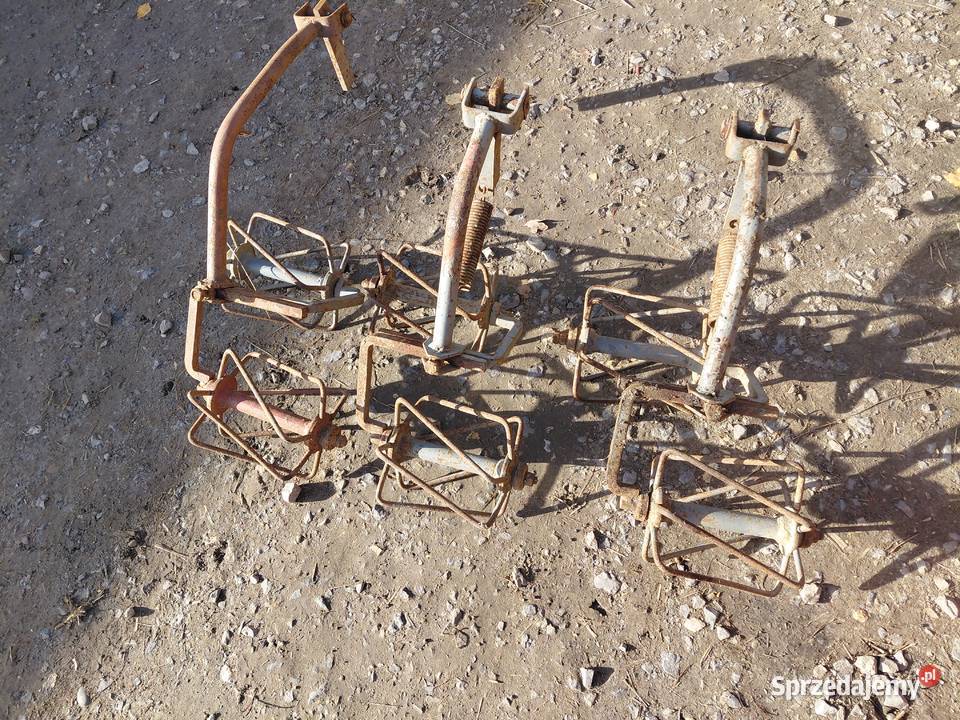 Wałki do obsypnika Pielnika małopolskie Uszew