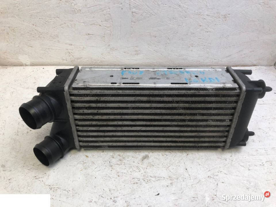 Thermostat De Remplacement Compatible Citroën, Peugeot, Ford 2.0 BlueHDi/TDCi - Réf. 9804160380