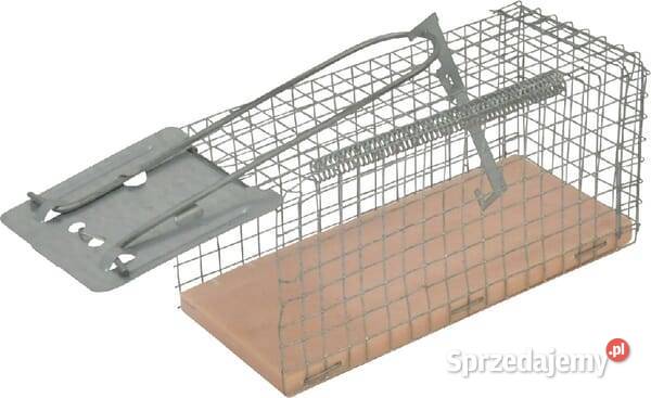 Żywołapka na myszy i szczury VV299618 Pozostałe małopolskie