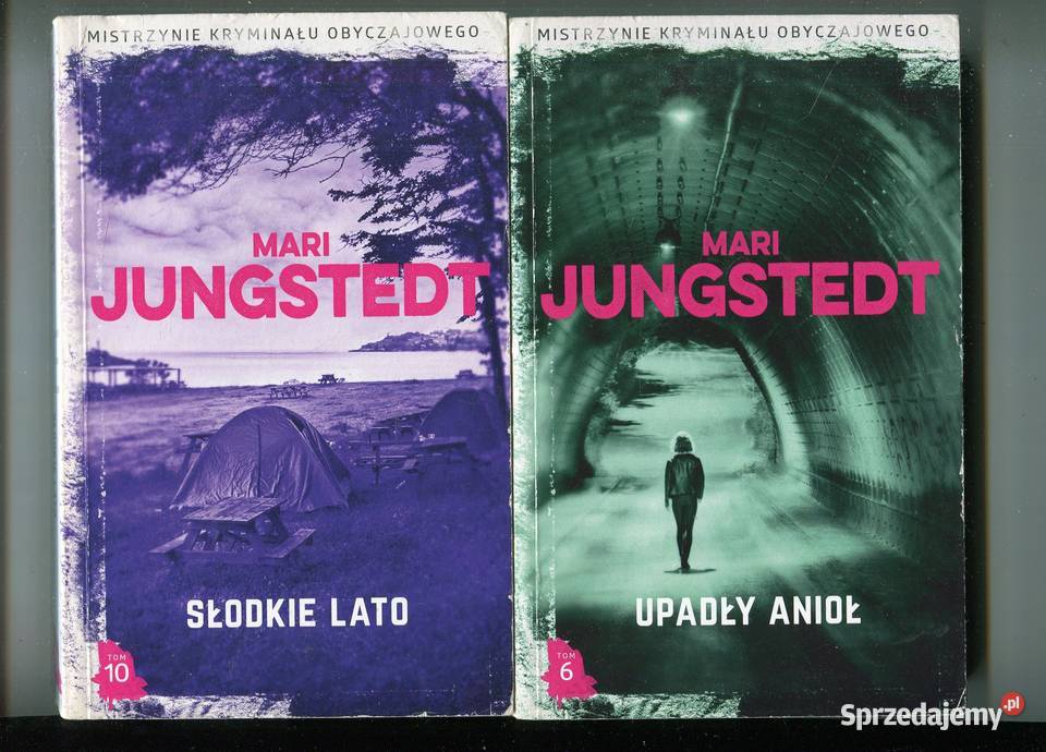 Upadły anioł Słodkie lato Mari Jungstedt miękka Szczecin