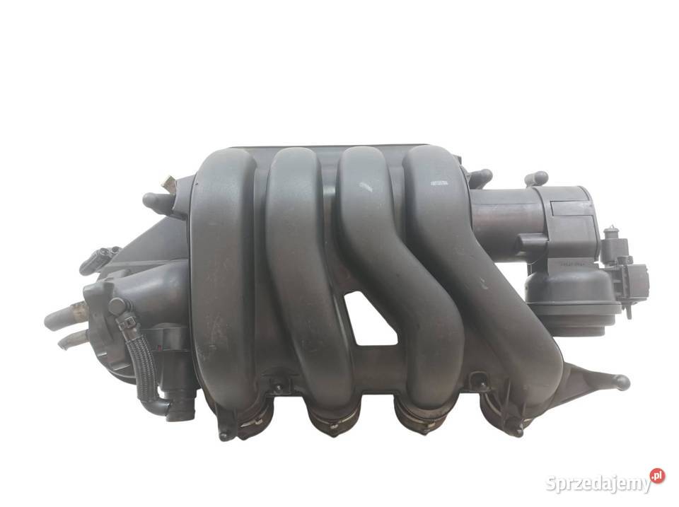 KOLEKTOR SSĄCY 20 FSI Seat Altea I 2004 świętokrzyskie