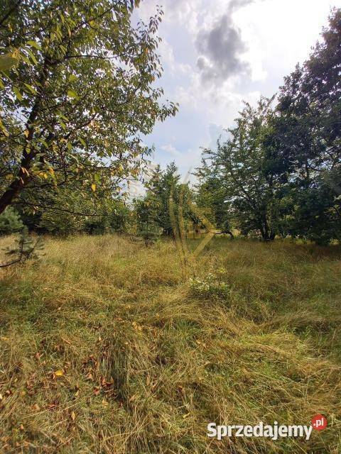 sprzedaży działki Henryszew 5661m2 Sprzedaż