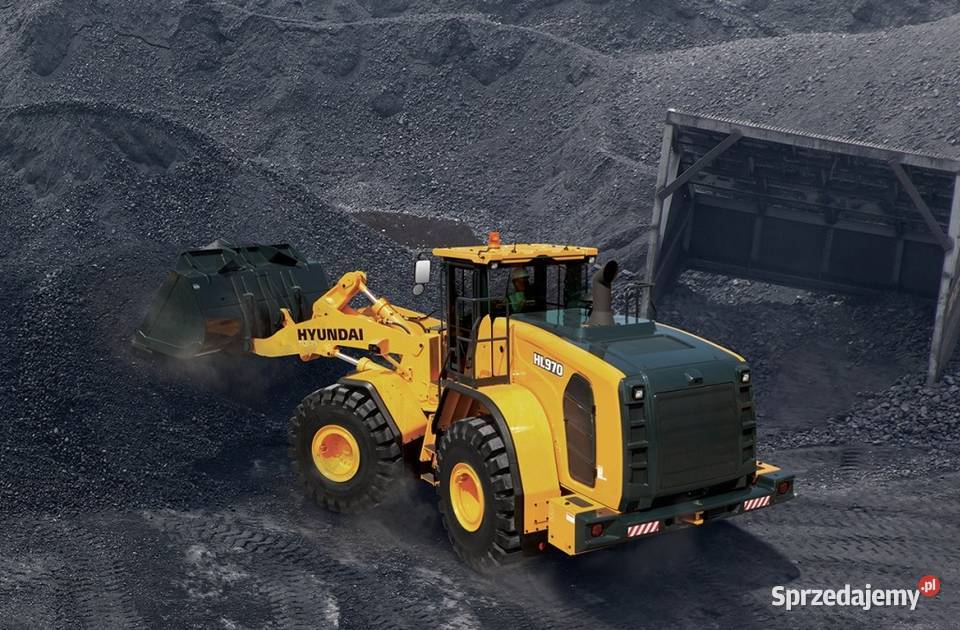 HYUNDAI HX HW HL HA Adblue SCR DPF EGR Ożarów Ożarów Mazowiecki sprzedam