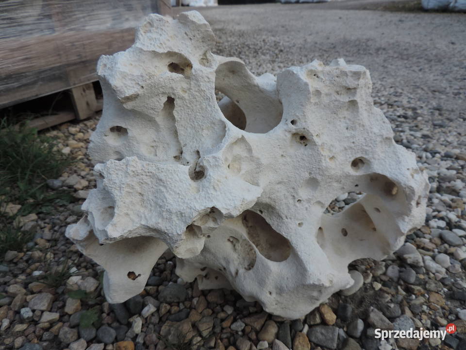 Wapień Filipiński Skała Bryła Kamień do akwarium Oświęcim