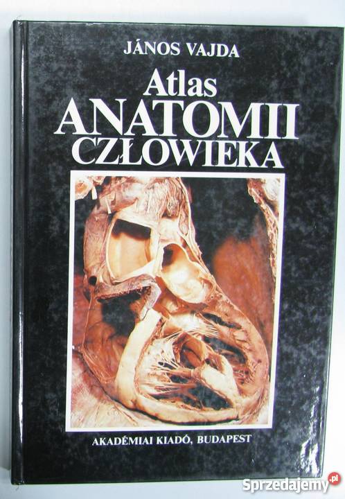 ATLAS ANATOMII CZŁOWIEKA TOM 2 VAJDA