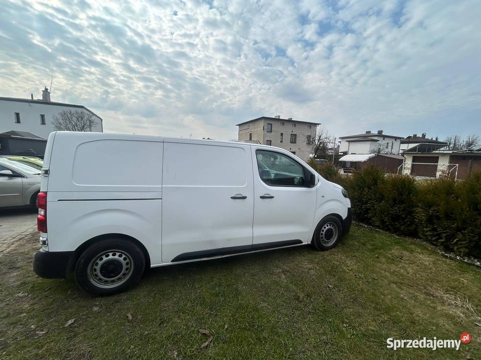 Citroen jumpy Żory