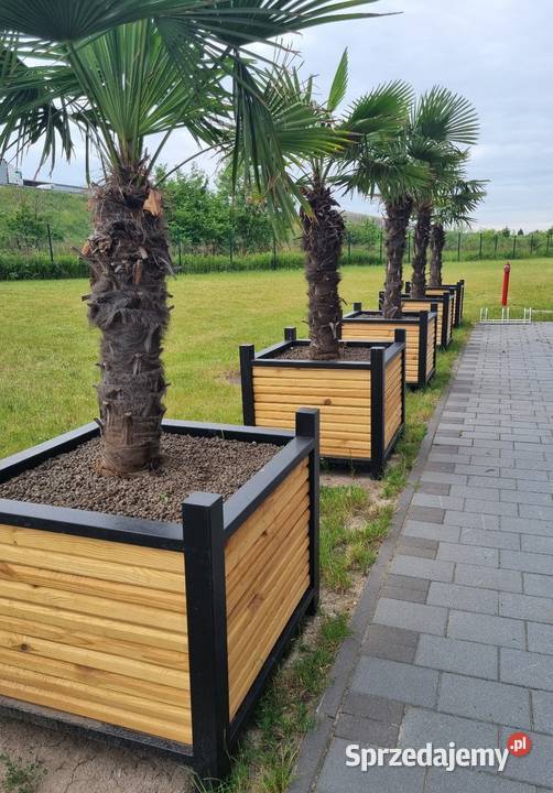Donice loft duze dolnośląskie Wrocław