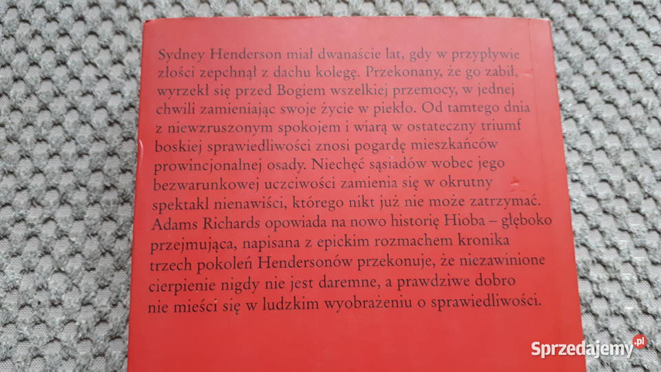Grzech miłosierdzia David Adams Richards Kraków