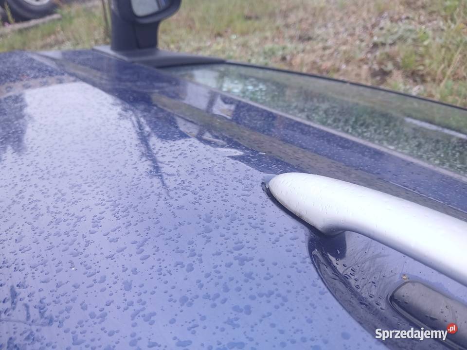 Drzwi lewe przednie kompletne Renault Clio III Radłów