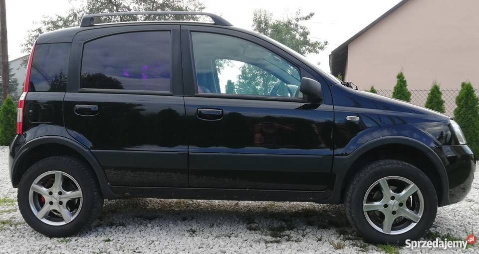 Fiat Panda 4x4 Rok produkcji 2005 podkarpackie Bratkowice sprzedam