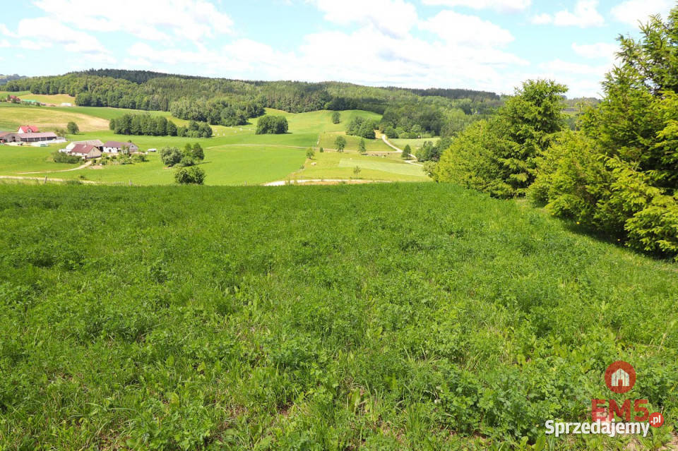 sprzedaży gruntu 4800m2 Olszanka