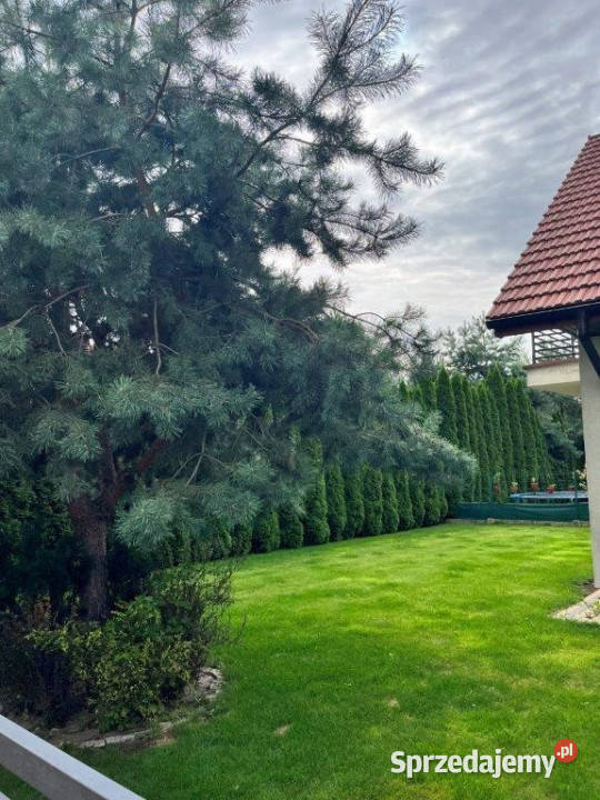 WYNAJMĘ Dom w zabudowie bliźniaczej BEZPOŚREDNIO asfalt Warszawa