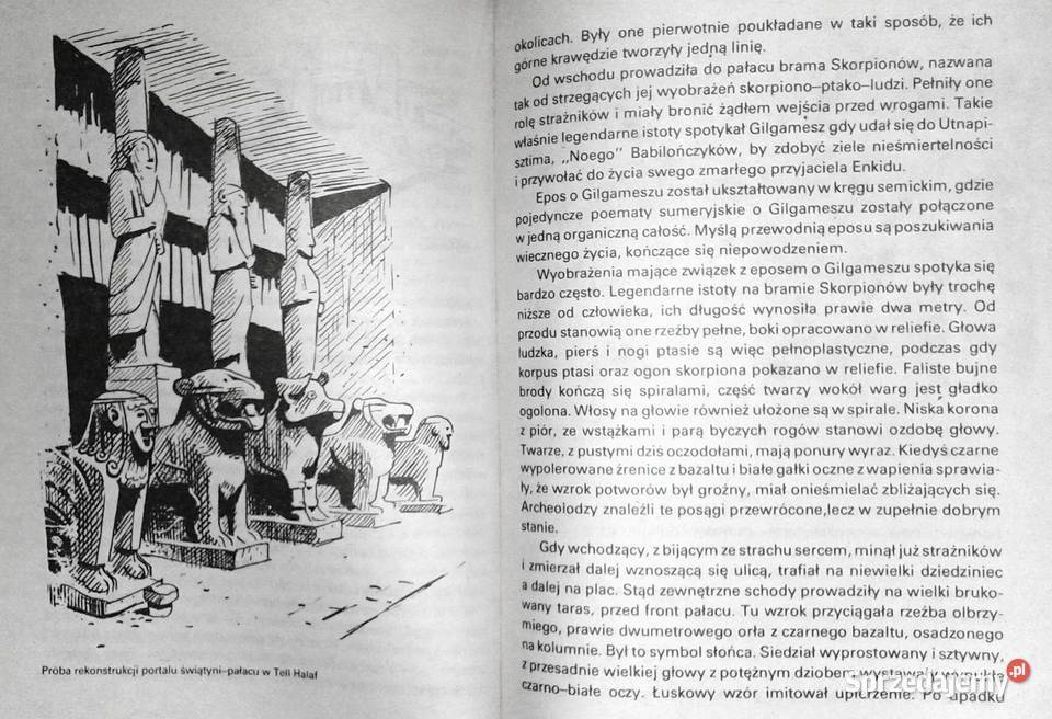 Tajemnice świątyń i pałaców Bernhard Jacobi miękka Pozostałe Chełm