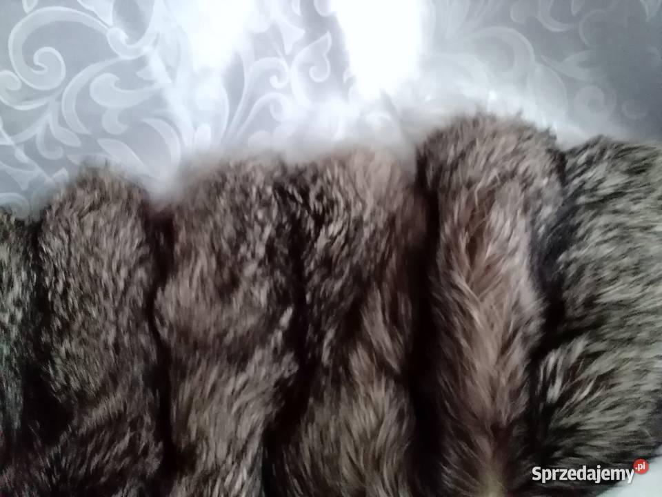naturalne futerko damskie z lisa Bez wzoru