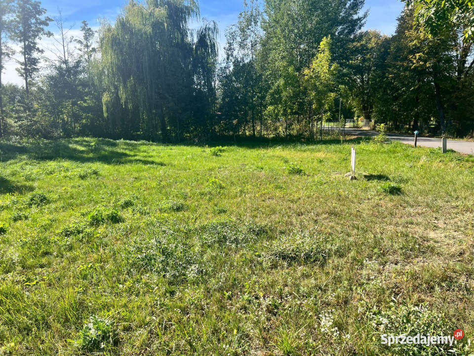 Działka letniskowaWZGrabniakUrszulin3002m2 3002m2 Grabniak