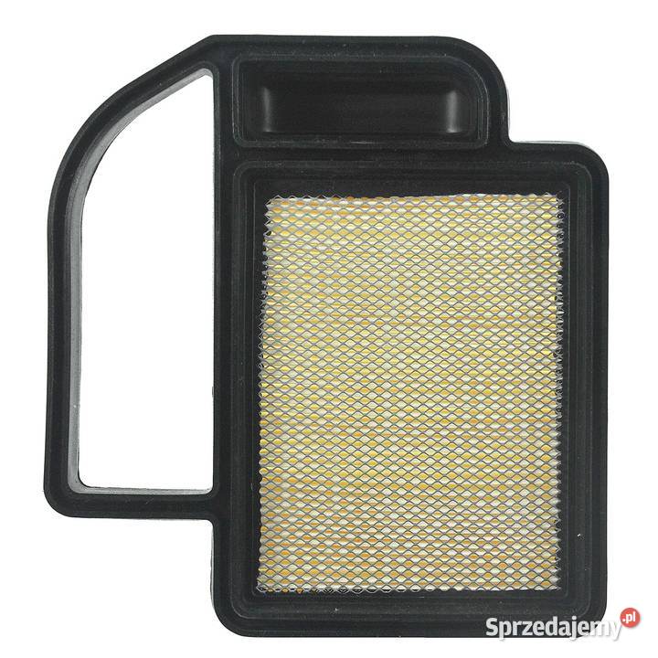 Filtr powietrza 207 x 194 x 42 mm Kohler OHV Filtry
