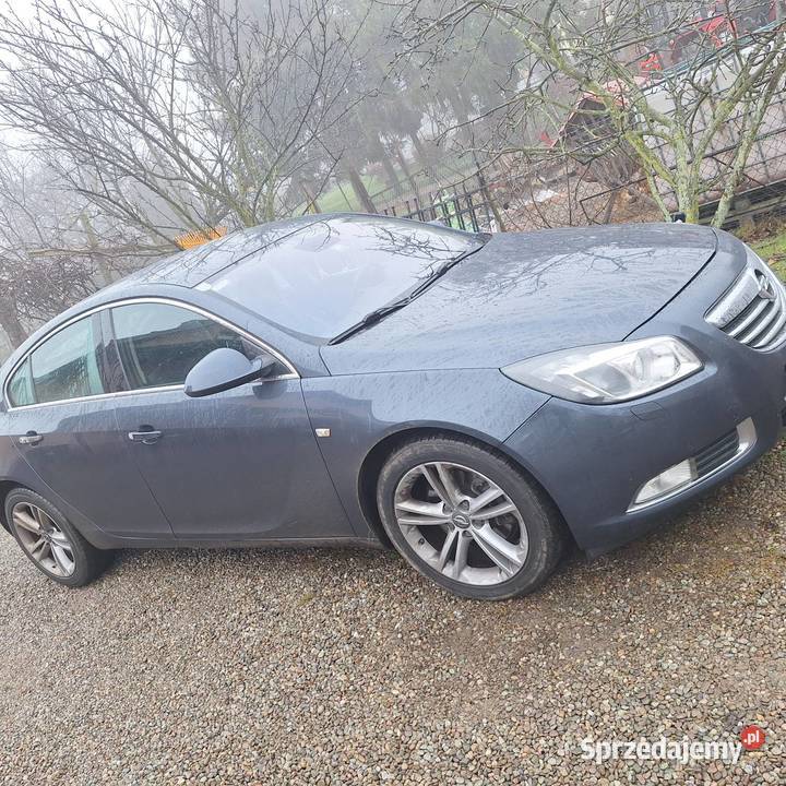 Opel insygnia Brzesko