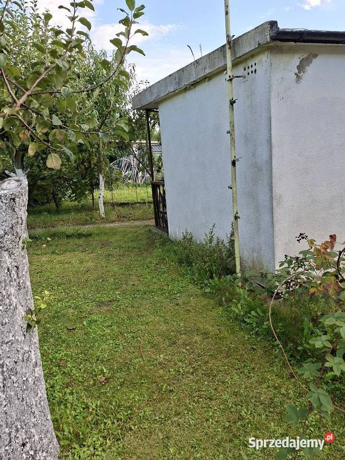 DZIAŁKA ROD jezioro Sprzedam Śrem