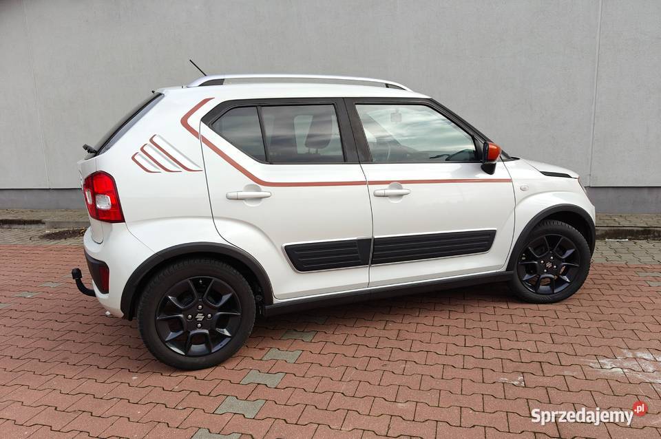 1290PEŁEN SERWIS DO KOŃCACZUJNIK