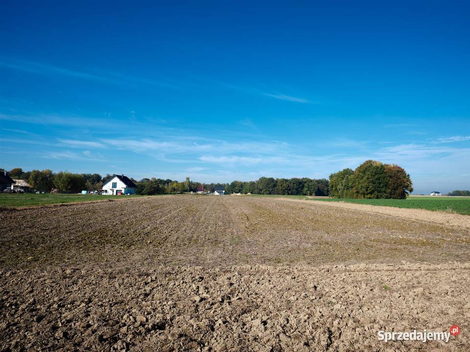 Działka budowlana Wilamowice Pisarzowice śląskie