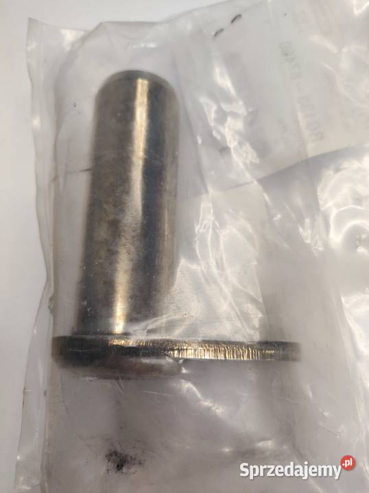 RG13867460 Sworzeń obrotu wspornika konika Września