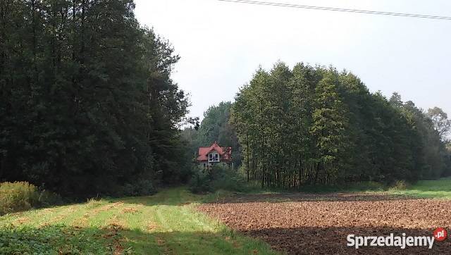 Dom stan surowy zamknięty 123 m2 cicha taras Jodłówka-Wałki