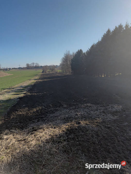Działka 6393m2 Panieńszczyzna