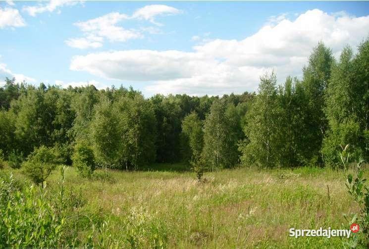 Gardeja działka budowlana26000m2 działki 1200m2
