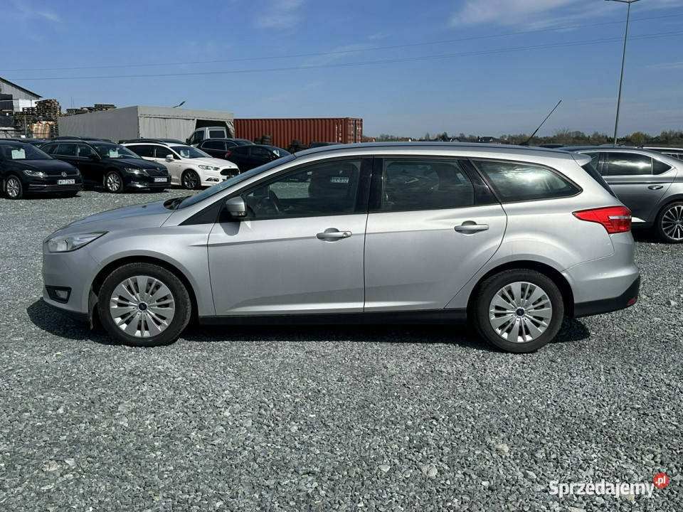 Ford Focus 16 TDCi 8V 115 2015r Salon Mk3 Focus Wojkowice