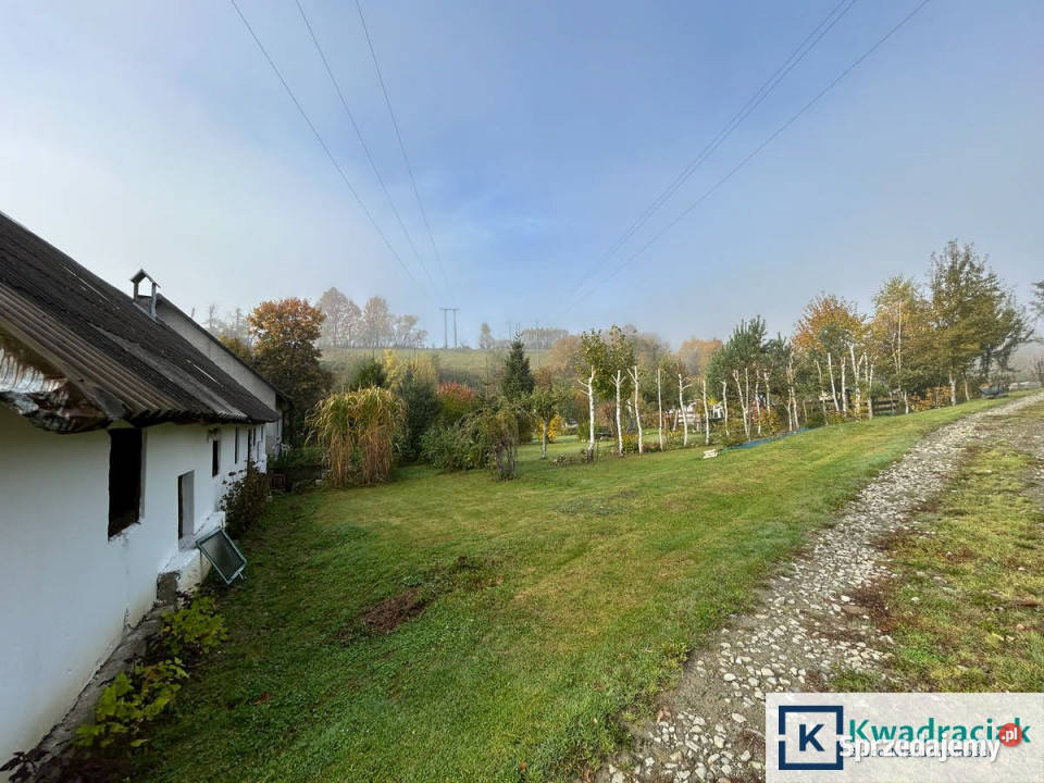 Lokal 330m2 Brzegi Dolne