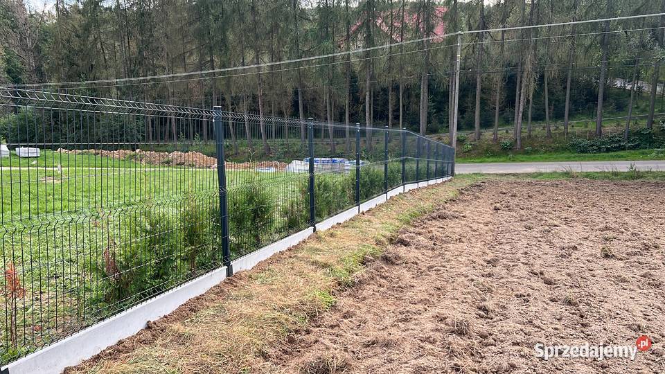 Ogrodzenia Panelowe Montaż Bramy Furtki Dostawa Siatki i panele małopolskie