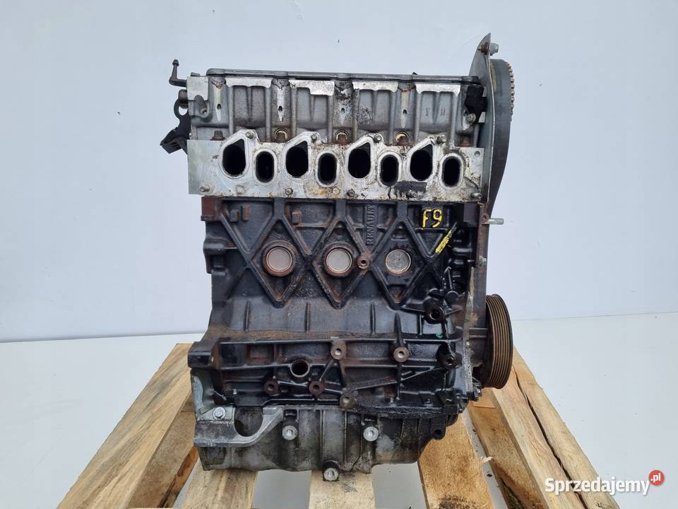SILNIK Renault Scenic II 19 DCI 131 F9Q801 F9 osobowe Silniki kompletne Rudka