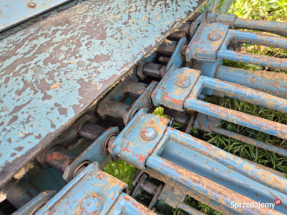 Kopaczka elewatorowa do ziemniaków małopolskie