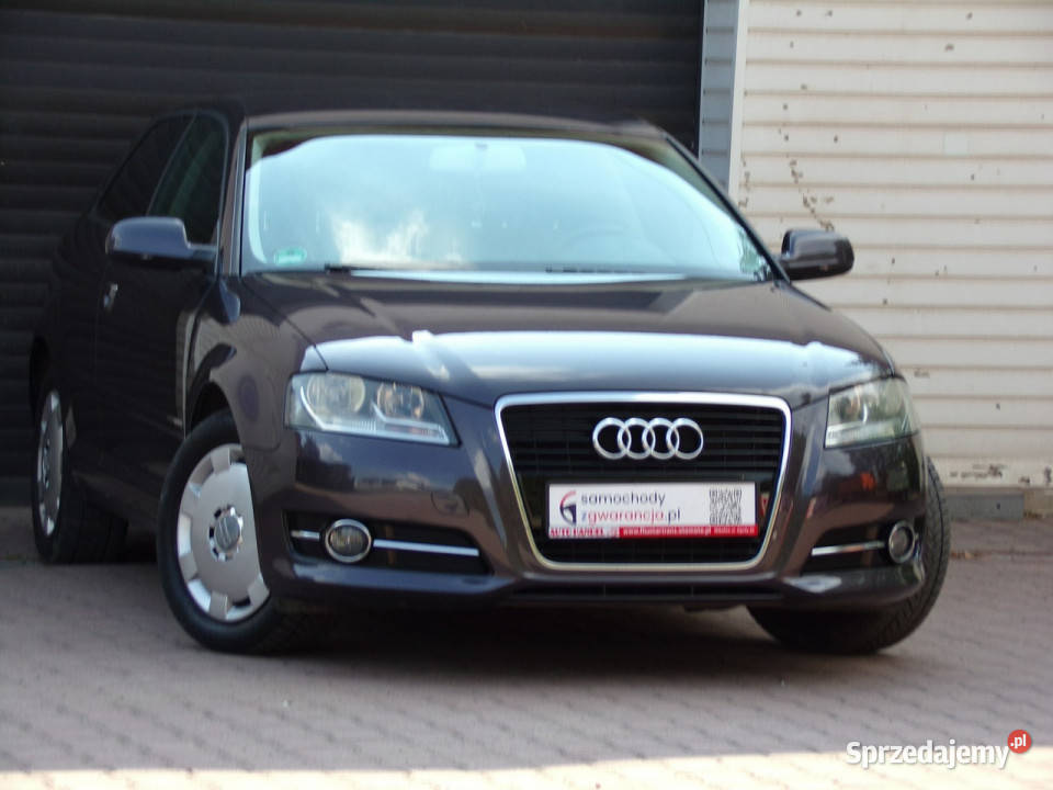 Audi A3 3drzwiowe Klimatronic I Właść 14 125 A3 Mikołów sprzedam