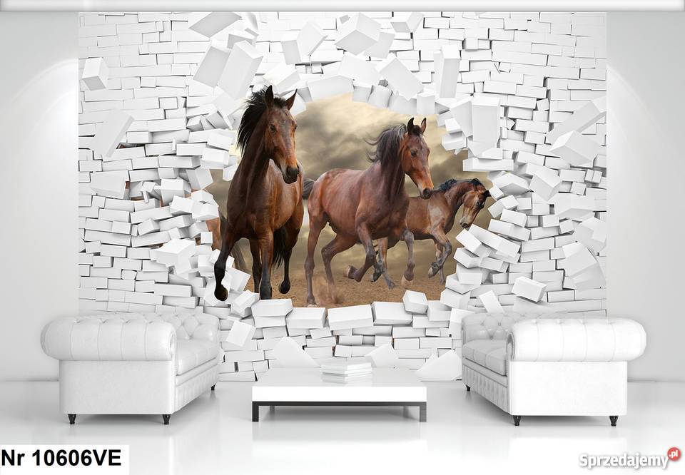 Tapeta fototapeta Ściany i elewacje Leszno sprzedam