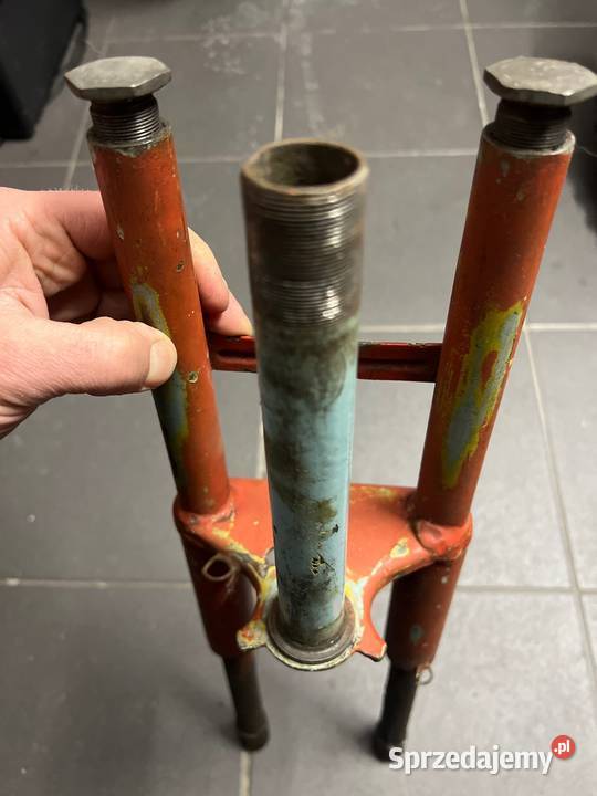 Ryś Żak przód Kotlin