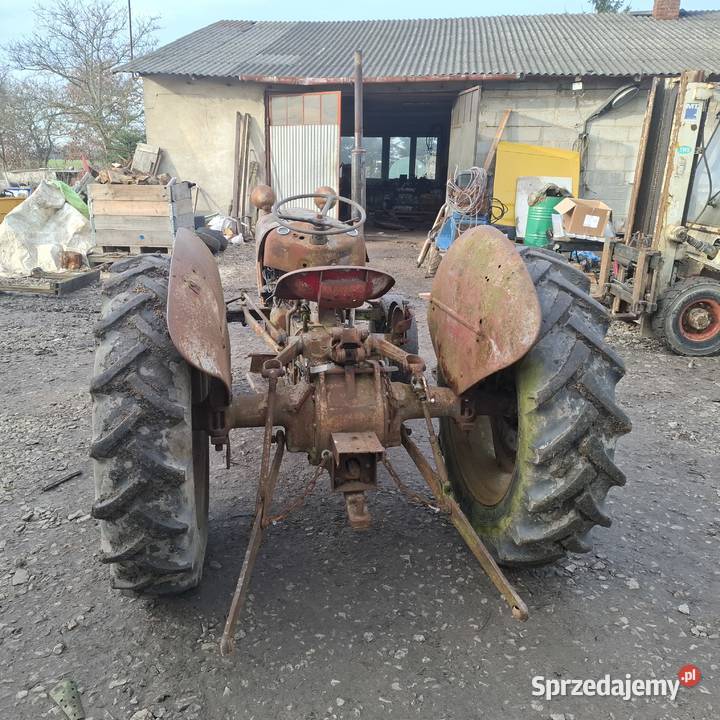 Massey ferguson 35 Grabów nad Wisłą