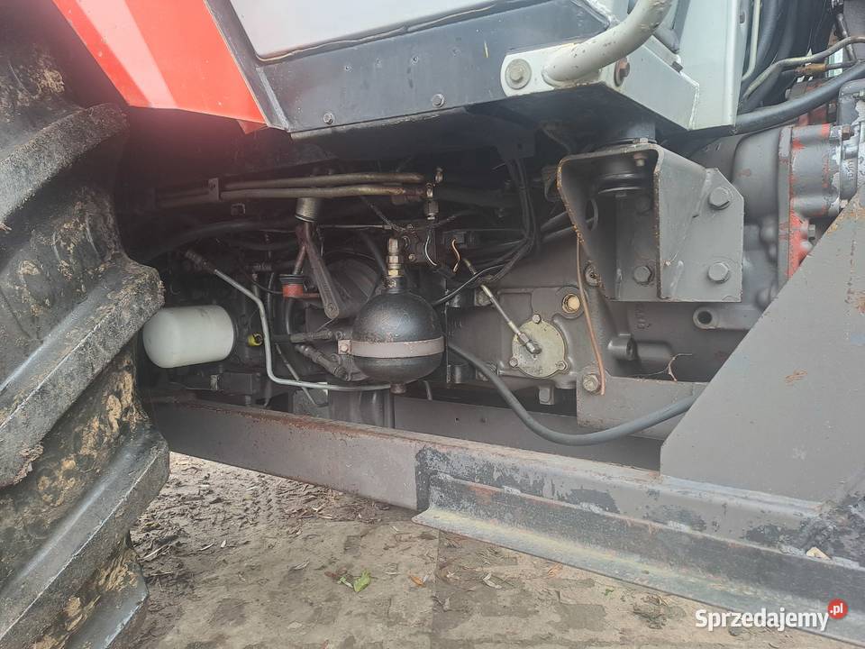 Massey Ferguson 3645 Ruda-Huta