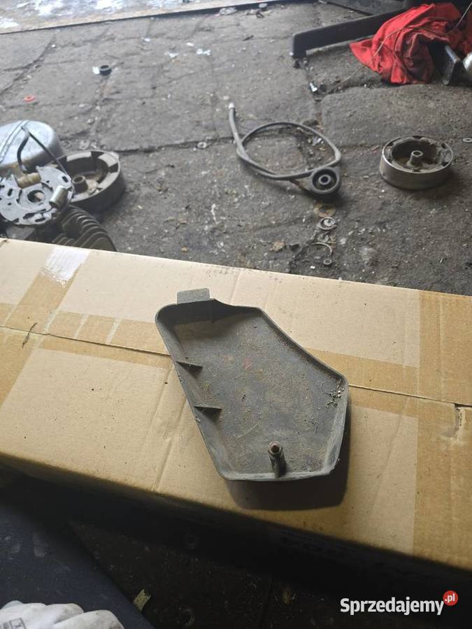 Boczek komar lubuskie Gorzów Wielkopolski